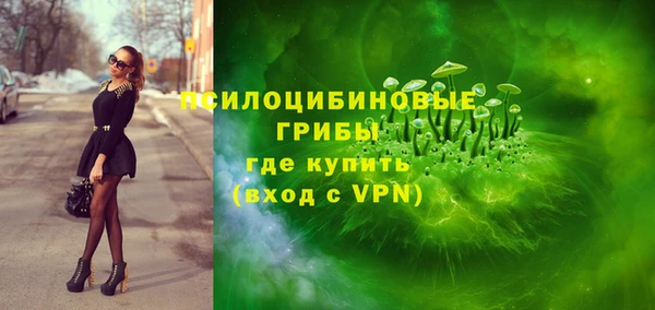 спайс Алексин